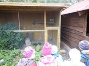 Výlet do svíčkárny Šestajovice